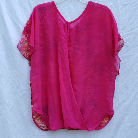 Sheer Blouse - Picture 4 of 6